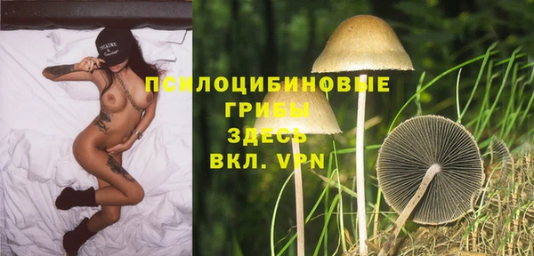 мяу мяу кристалл Верея