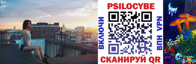 Купить  Петровск  Псилоцибиновые грибы мицелий 